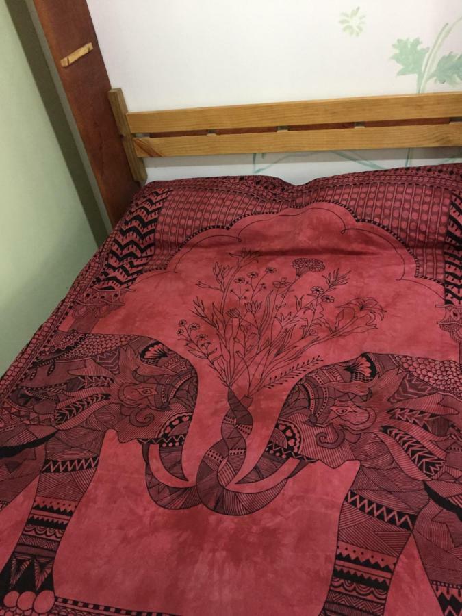 Hostel Mueller Na Praia De Mocambique Florianópolis Esterno foto